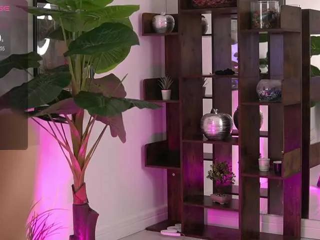 Freechat AvaReed on BongaCams