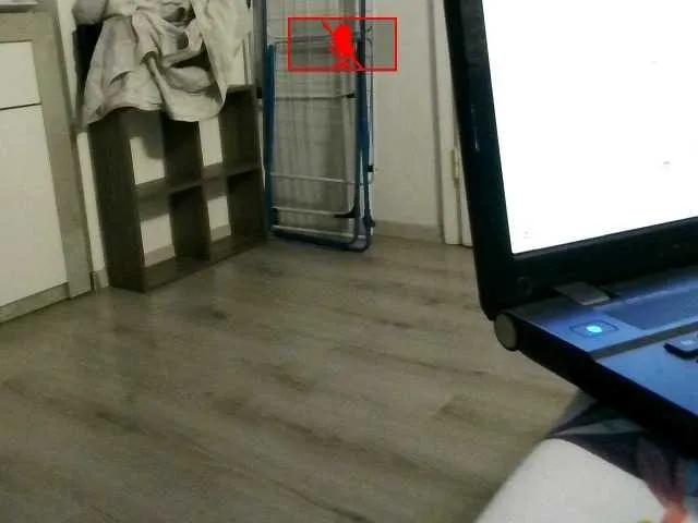 Bonnie-Clyde1's avatar