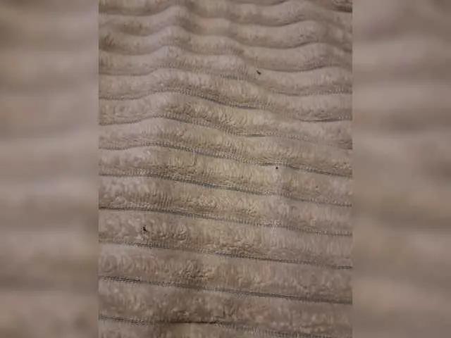 Offline Cat-Bars69 on BongaCams