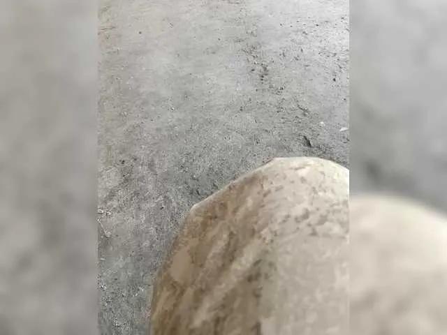 Offline family2020 on BongaCams