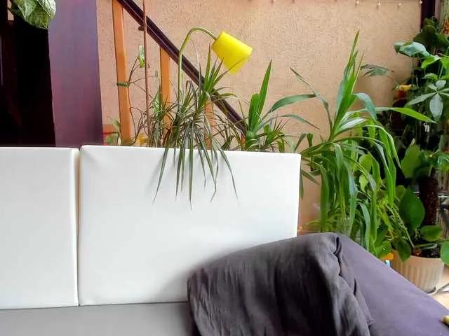 Offline ingridblondy94 on BongaCams