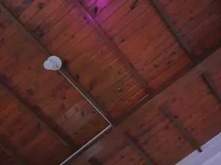 alisson-harperr — Maid on duty... and a bit naughty Oil and shine [Multi Goal]