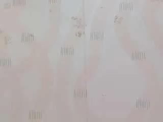 Freechat hotlatinateacher on CamSoda