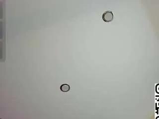 Offline margo-pvt on CamSoda