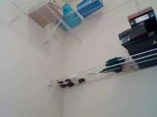 paisleehaze — MONEY CAN'T BUY HAPPINESS, BUT IT CAN BUY ME!  10,000 Tokens to Make Your Dreams Come True!  #gfe #findom #finsub #cuck #sub #bbw [10000 tokens remaining]