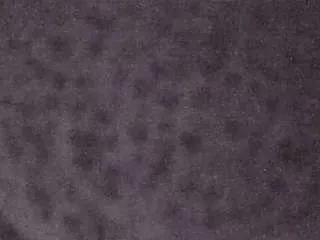 Freechat voyeurcam-casa-salsa-fishtank on CamSoda