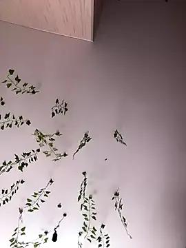 Freechat -Sexy_Barbie- on StripChat