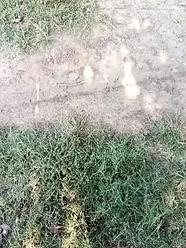 Freechat Mehta_seema on StripChat