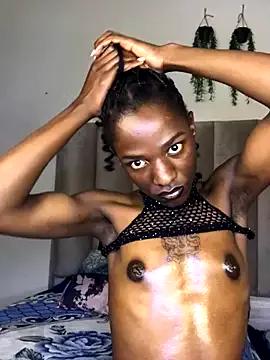 Freechat Trans_fairy on StripChat