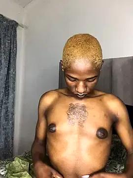 Freechat Trans_fairy on StripChat