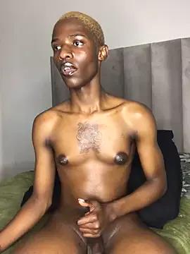 Freechat Trans_fairy on StripChat